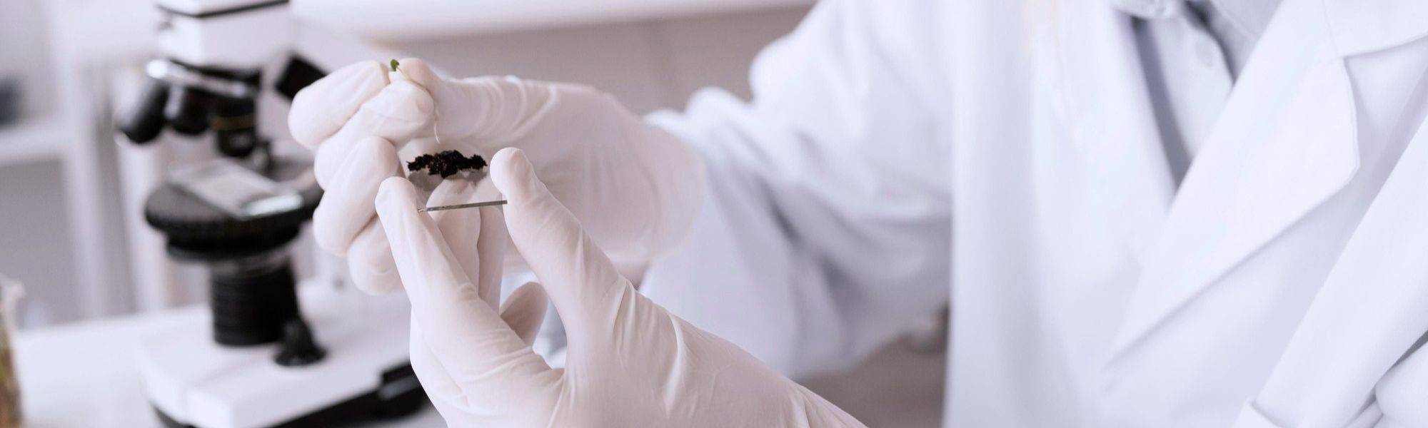 xtart-blog-cuales-son-las-asignaturas-de-laboratorio-clinico-y-biomedico