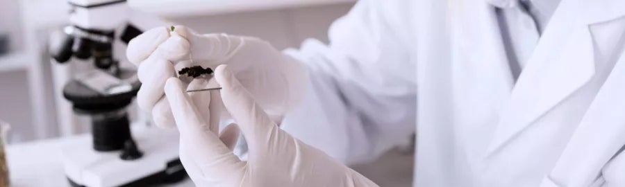 xtart-blog-cuales-son-las-asignaturas-de-laboratorio-clinico-y-biomedico